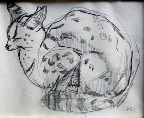 Pat Marriott (20th century) Study of a genet, seated. Initialled PM 16cm x 20cm Pencil on paper   A pottery grey glazed beake