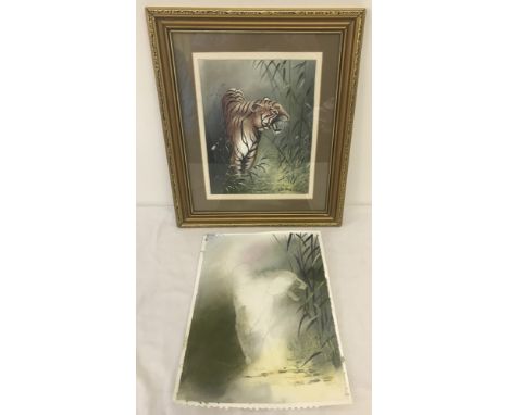 Peter Welch - (c20th East Anglian wildlife artist) - watercolour of a Bengal Tiger Together with a first draft watercolour sk