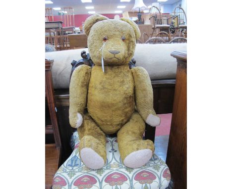 German Plush Teddy Bear, circa early XX Century with moveable jointed arms and legs, stitched nose and mouth, operative growl
