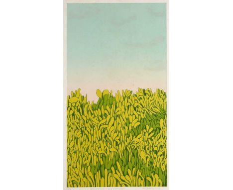 Val Ewens (British b.1946)'Grass aspects - sun and shadows' lithograph, numbered 4/15, signed and dated 1976 in pencil lower 