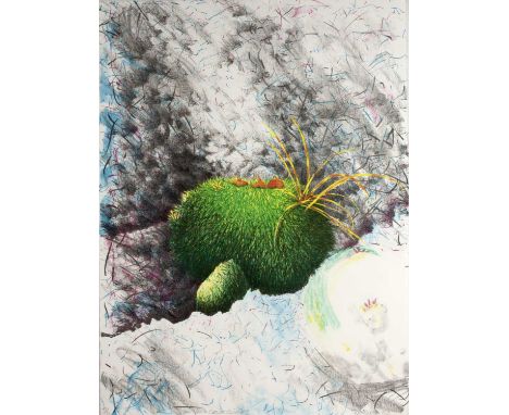 Val Ewens (b.1946)'Growth Suite 1' lithograph, numbered 8/16, signed and dated 1983 in pencil lower right, 76cm x 56cm, 'Grow