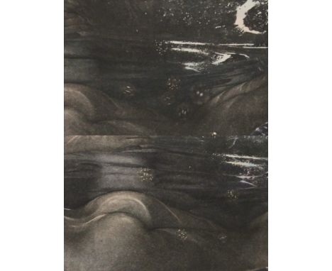 DICKSON RA, Aphrodite Rises, limited edition print, numbered 5/20. 50 x 64.5 cm overall.