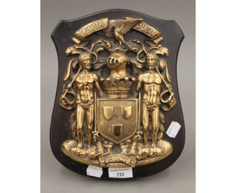 A bronze coat of arms for the Earl of Erroll, mounted on an oak shield. 27.5 cm high.