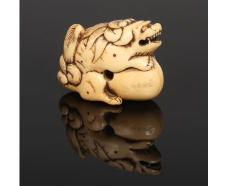 A Japanese Edo period carved ivory netsuke. Formed as a shi shi dog guarding a pearl, 5cm. Some hair cracks and general wear.