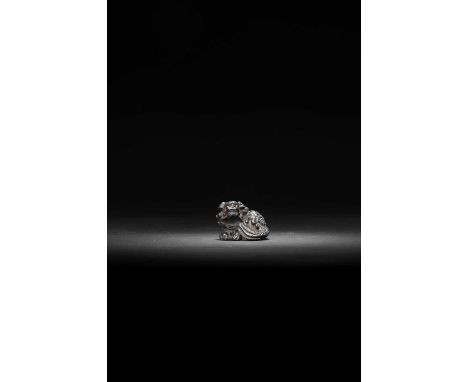 A JAPANESE DARK WOOD NETSUKE OF A SHISHIMEIJI ERA, 19TH CENTURYDepicted lying down, turning its head to the side; its eyes in
