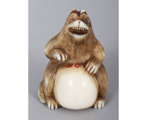 A SIGNED JAPANESE MEIJI PERIOD IVORY TANUKI RACOON DOG NETSUKE, beating his enlarged belly, the fur stained and engraved, the