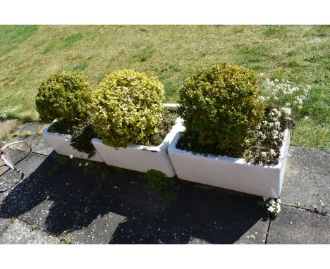 THREE VINTAGE ENAMEL SINKS with soil and planting width 63cm depth 47cm height 27cm ( this lot is not sold on site, viewing f