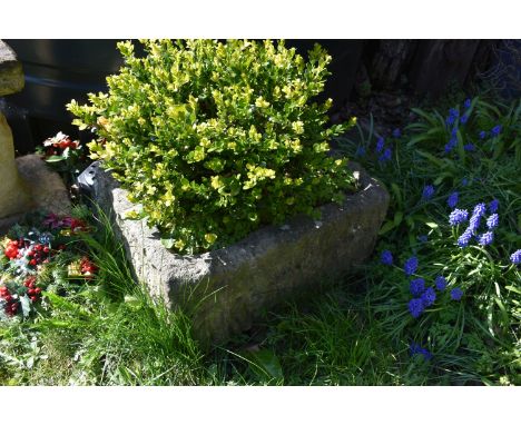 A VINTAGE SANDSTONE TROUGH with soil and planting width 58cm depth 46cm height 28cm ( this lot is not sold on site, viewing f