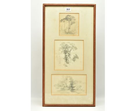 CIRCLE OF SAMUEL PROUT (1783-1852) THREE STUDIES OF TREES, unsigned pencil sketches, largest approximately 22cm x 13cm, Condi
