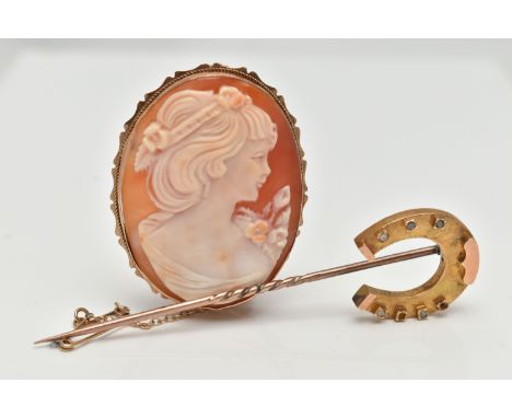 A YELLOW METAL CAMEO BROOCH AND A STICK PIN, the carved shell cameo depicting a lady in profile, collet set with a fine rope 