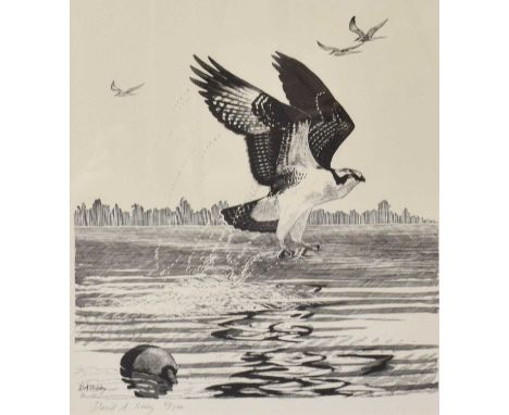 David A Sibley (b.1961)American EagleSigned and numbered 43/100, woodblock print, together with three further ornithological 
