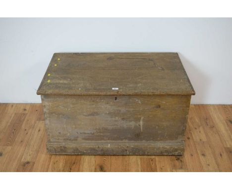 A 20th Century pine trunk, the hinged lid with moulded edges, opening to reveal a spacious interior, raised on a plinth base,