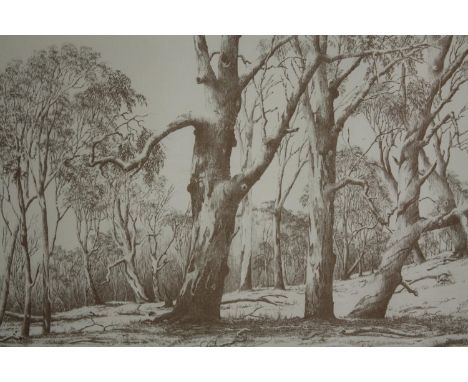 Lithograph. Signed indistinctly and dated. Framed and glazed. H.46 W.54 cm. 