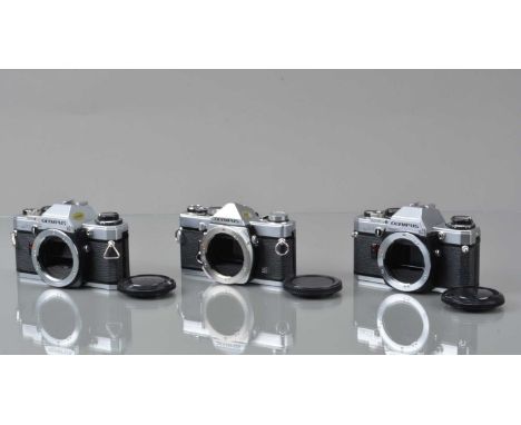 Three Olympus SLR Camera Bodies. an Olympus OM-1 MD, shutter working, meter responsive, self timer working, OM-10, shutter wo