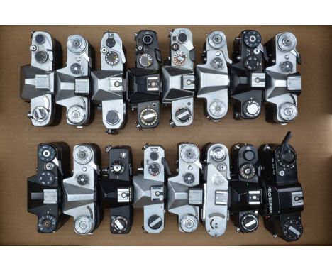 A Tray of SLR Camera Bodies, a Yashica J-5, TL-Electro, Chinon CS, CE, Memotron, Zenit-E (3), 12 XP, 3m. FED 4, all shutters 