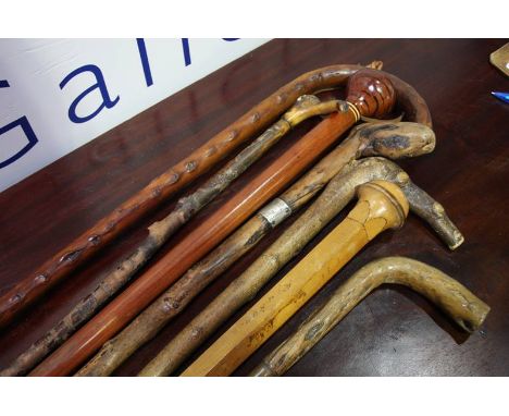 A group of seven wooden walking sticks. Includes a Norwegian souvenir stick with pokerwork type decoration, a gnarled stick w