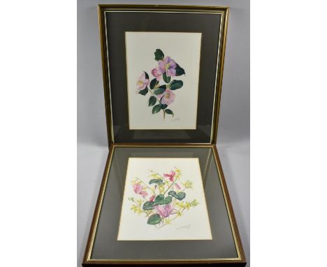 A Pair of Framed Botanical Watercolours, CJ Glazebrook 1979 