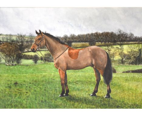 Penny Richardson (nee Whadcoat), Horse in a landscape, watercolour, signed Penny Whadcoat, dated 1989, 49cm x 69cm; and a Hun