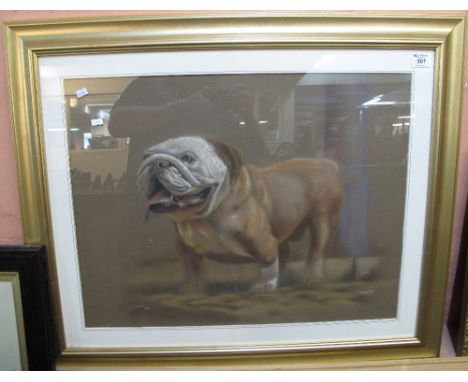 G. Simpson, (British, 20th Century), 'Winston', portrait of a bulldog, signed, pastels, 52 x 67cm.  Framed and glazed.(B.P. 2