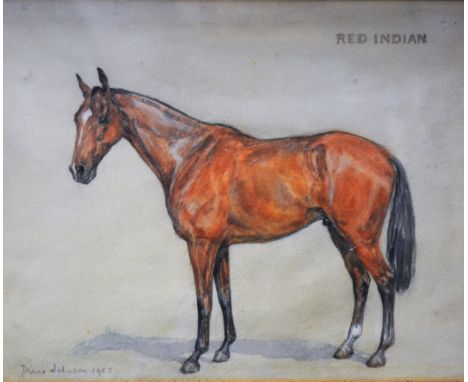 Diana Johnson, 'Red Indian' a horse portrait, signed and dated 1953, watercolour, 28cm x 35cm