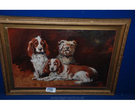 An Oil painting group Portrait of Dogs, signed