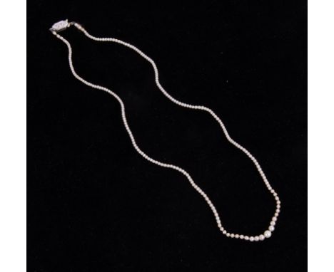 A vintage seed pearl necklace with 9ct white gold clasp, graduated pearls, length approximately 40cm.