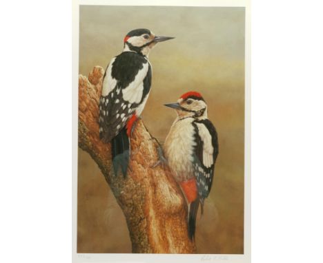 Robert E Fuller (British 1972-): Great Spotted Woodpeckers, limited edition colour print signed and numbered 824/850 in penci