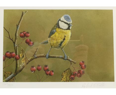 Robert E Fuller (British 1972-): Blue Tit, limited edition print signed and numbered 147/850 in pencil 18cm x 25cm