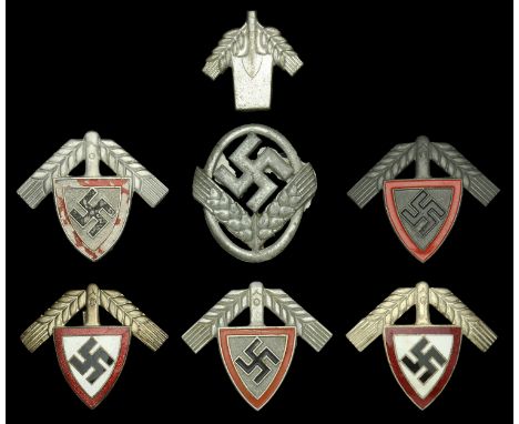 German Second World War RAD/FAD Cap Badges. Officers quality RAD cap badge, excellent enamels with both fixing pins present. 