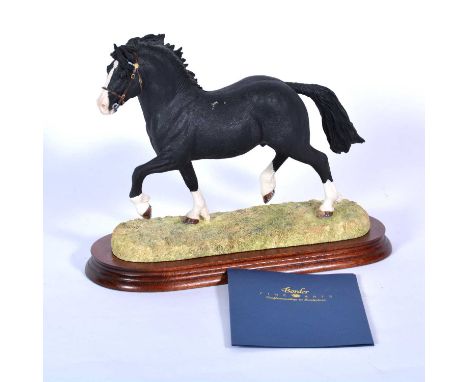 Border Fine Arts model, Welsh Cob Stallion - section D, limited edition 632/1250, with certificate.