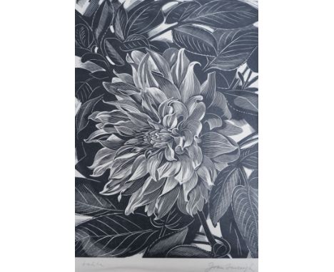 John Farleigh (1900-1965), four woodblock prints, Dhalia, Apples, Yew Trees and another Yew Trees, all numbered in pencil, la