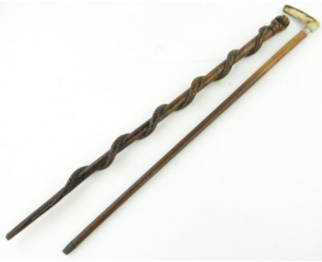 A stick carved with entwined snake and clenched fist,
and a silver mounted Malacca and horn cane, (2).