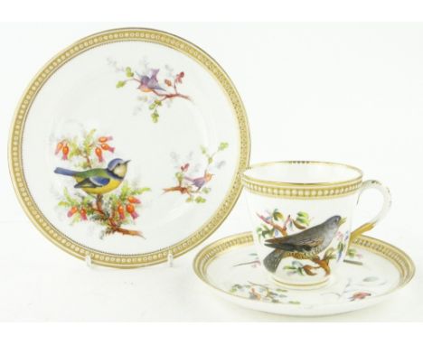 A Victorian Royal Worcester cup, saucer and plate
with painted designs of garden birds and blossom.