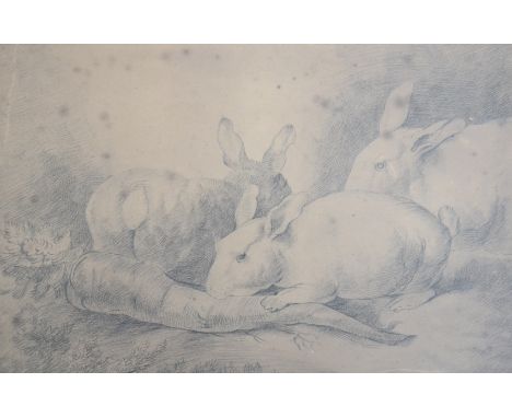A pencil sketch of rabbits 28 x 43cm