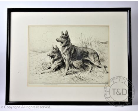 Herbert Dicksee (1862-1942), Etching, Alsatians, Signed in pencil and with Graves Gallery label verso, 32cm x 42.5cm, Framed 