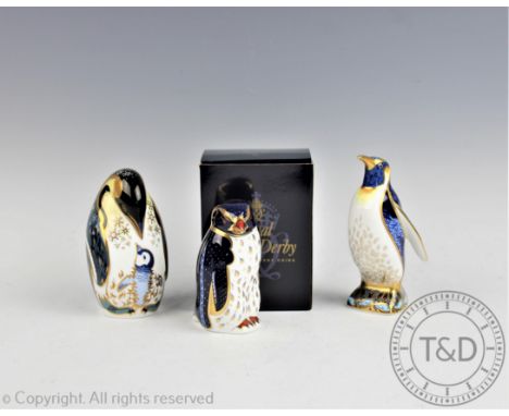 Three Royal Crown Derby paperweights; Emperor Penguin, Rockhopper Penguin (with certificate) both with gold stoppers and Peng