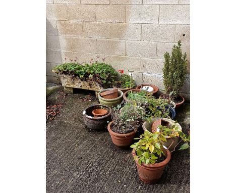 Collection of garden ware including terracotta plant pots, trough planter, glazed plant pots etc