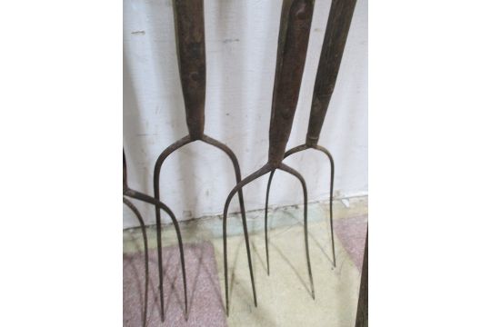 Five vintage two pronged pitchforks along with a bull staff etc.