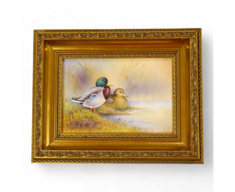 A Royal Worcester framed porcelain plaque, decorated with ducks, signed P. Platt (Peter Platt), 12 x 17cm. Condition - good