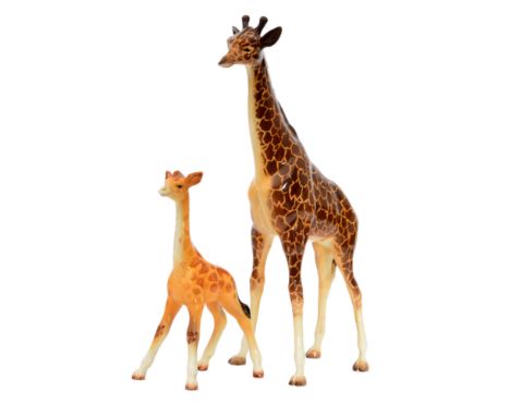 A Beswick Giraffe model 1631 S/D and a smaller Giraffe model 853 (2)