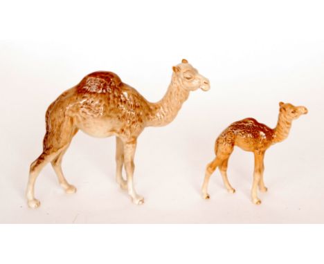 A Beswick Camel model 1044 and a Camel foal model 1043, both with oval marks (2)