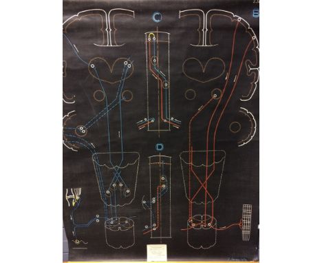 P. Sougy - The Sensory System, an anatomical lithograph, signed and dated 1948 in the stone, published by Adam, Rouilly & Co.