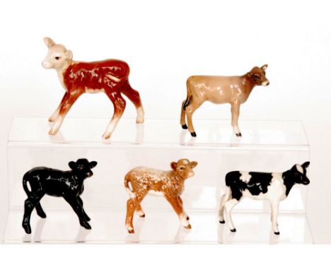 Five assorted Beswick calf to include a Friesian Calf model 1249C, an Aberdeen Angus calf model 1406A and a Jersey Calf model