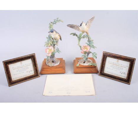 Two Royal Worcester Dorothy Doughty models, "Lesser Whitethroat and Wild Rose" hen and cock, both No 4, with certificates and