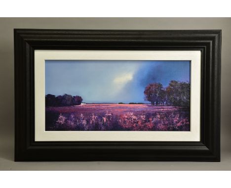 BARRY HILTON (BRITISH 1941) 'SHADES OF DUSK' a limited edition landscape print 99/195, signed with certificate, approximate s