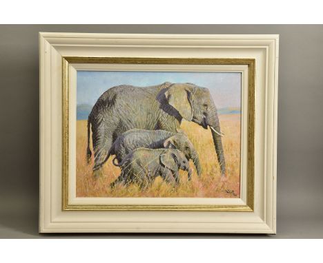 TONY FORREST (BRITISH 1961) 'FAMILY OUTING' a signed limited edition print of elephants, with certificate 5/195, approximate 