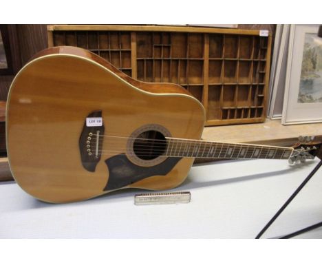 AN EKO BRANDED ACOUSTIC GUITAR together with an Eko branded mouth organ (for the budding Bob Dylan!) 