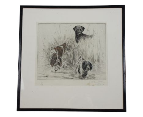 George Vernon Stokes (1873–1954)A study of three transfixed hunting dogs emerging from the tall wetland grass, watercolour ti