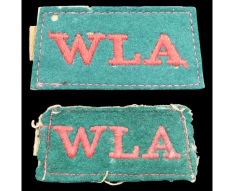 A pair of Second World War Women's Land Army slip-on shoulder titles together with a similar Local Defence Volunteers title