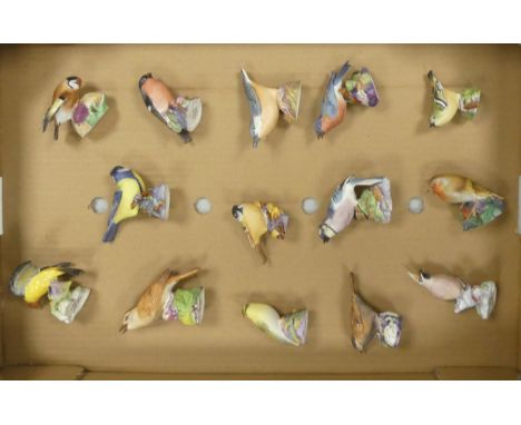 Collection of Fourteen Royal Worcester Birds Figures to include 'Blue Bird', Bullfinch', 'Robin' and 'Waxwing'. Etc (1 Tray)